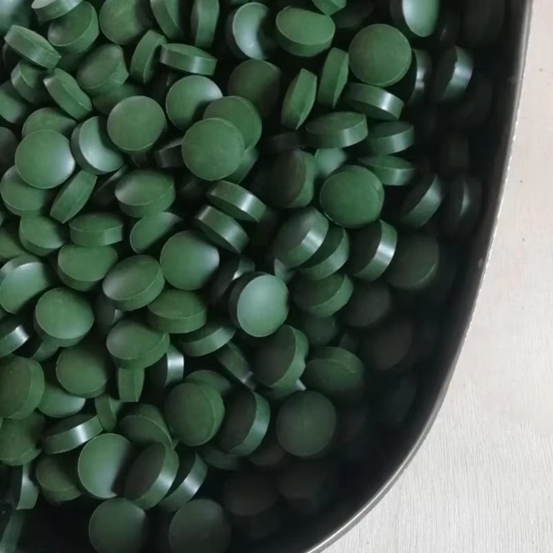 Aquarium Fish Holiday Food - Tabletki spiruliny o wysokiej czystości 100-3000