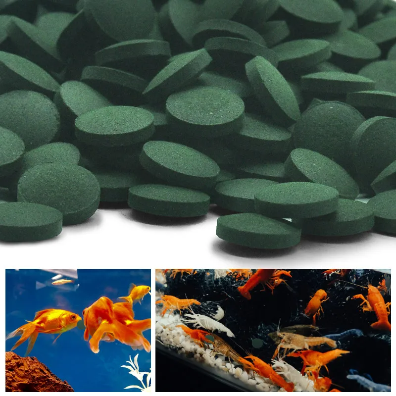 Aquarium Fish Holiday Food - 100 sztuk tabletek Spirulina o wysokiej