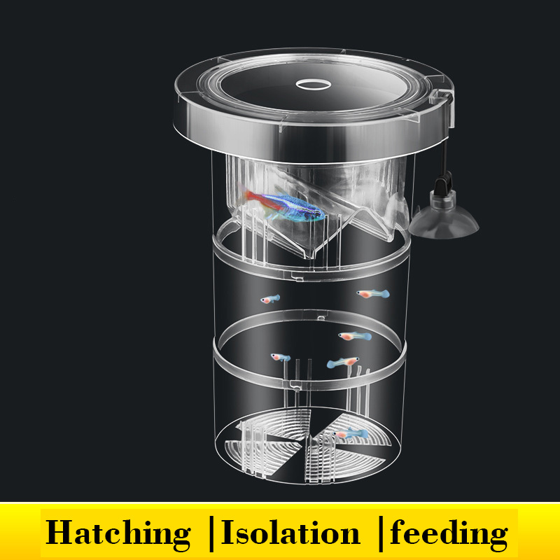 Aquarium Fish Breeding - Pływające pudełko izolacyjne do hodowli ryb