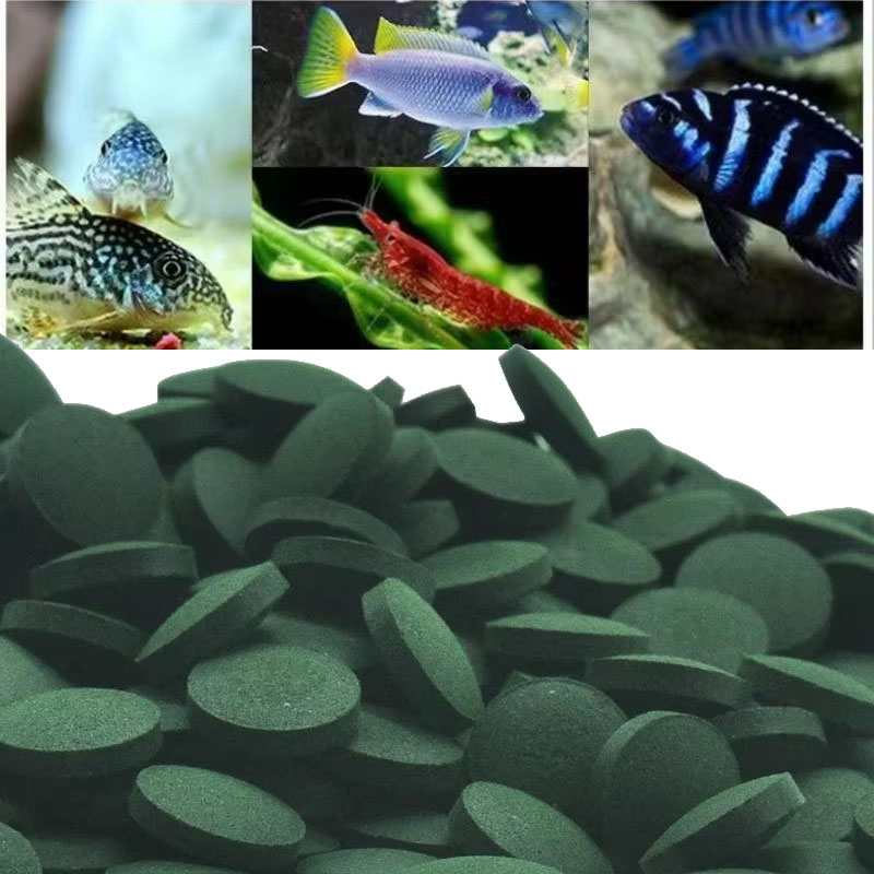 Aquarium Fish Holiday Food - 50/100/300/500 szt. Tabletek Spiruliny Koncentrat z
