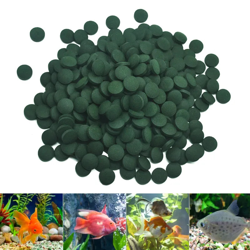 Tabletki spiruliny o wysokiej  – Aquarium Fish Holiday Food recenzja i cena