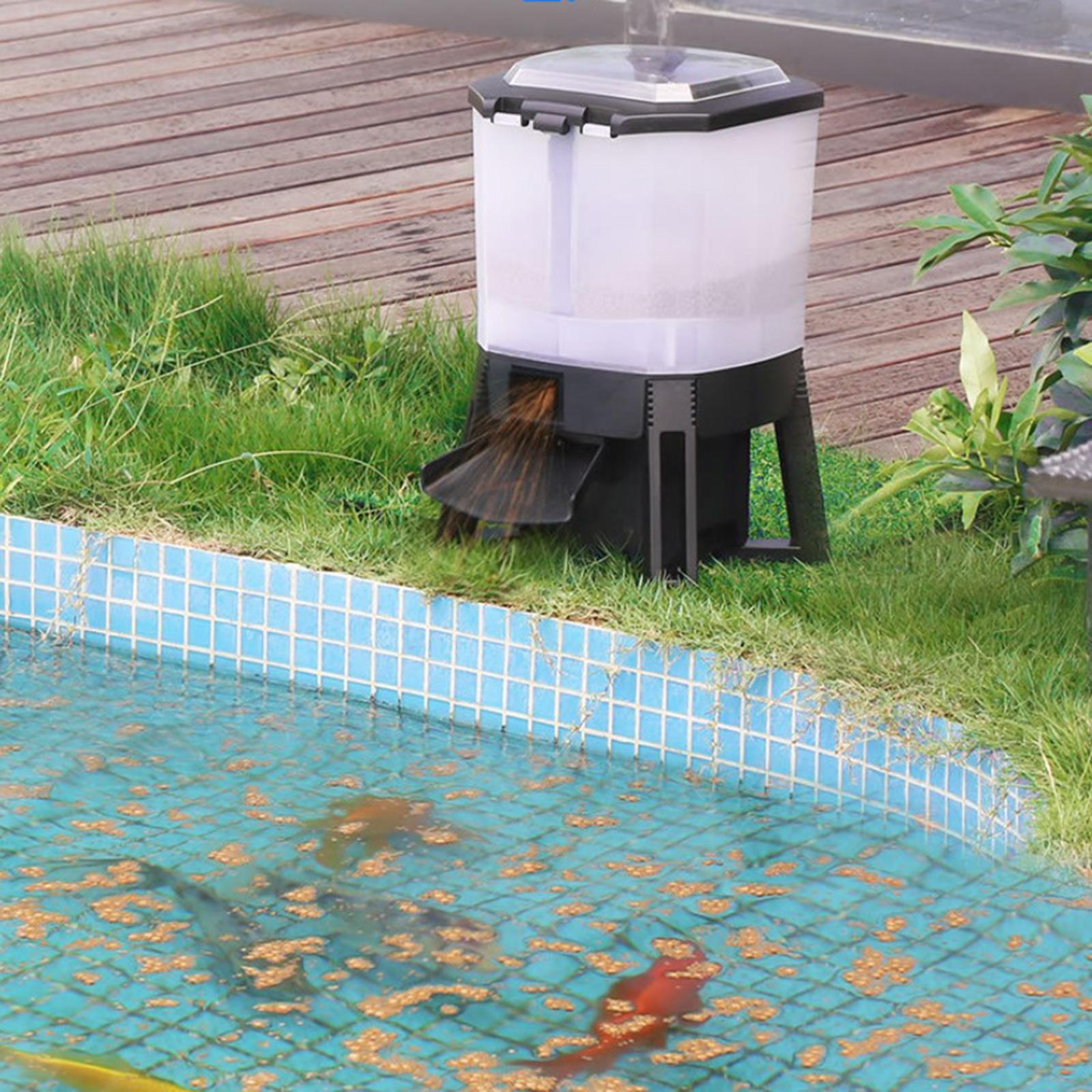 Automatyczny podajnik karmy dl – Aquarium Fish Koi recenzja i cena