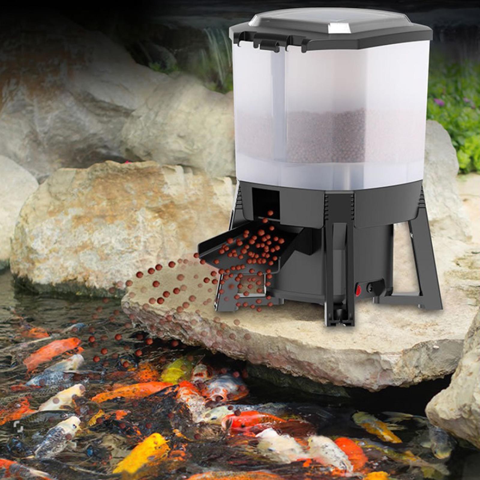 Automatyczny podajnik karmy dl – Aquarium Fish Koi recenzja i cena