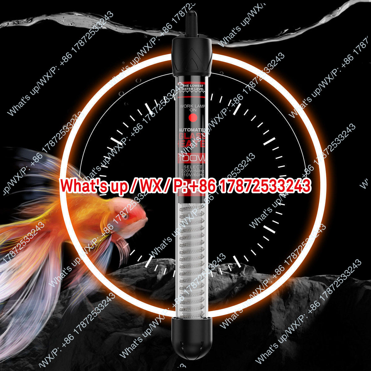 Eksportowy grzałka do akwarium – Aquarium Fish Exporter recenzja i cena