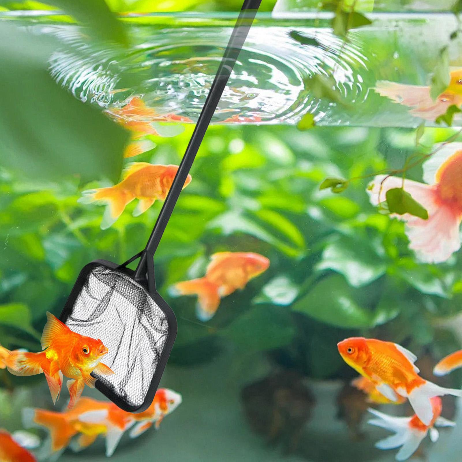 Siatki do czyszczenia basenów, – Aquarium Fish Tank Cleaner recenzja i cena