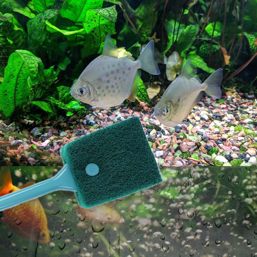 Dwustronny czyścik do akwarium – Aquarium Fish Tank Cleaner recenzja i cena
