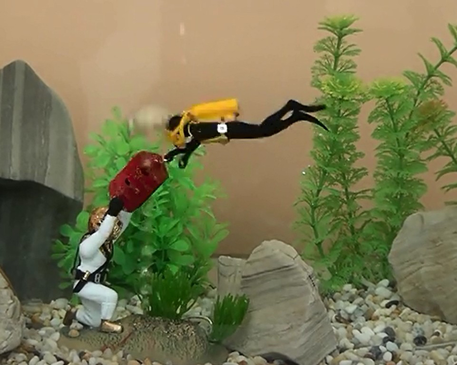 Popularna dekoracja akwarium p – Aquarium Fish Gif recenzja i cena