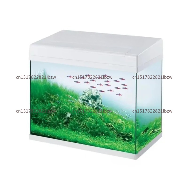 Szklane akwarium, mini akwariu – Aquarium Fish Glass recenzja i cena