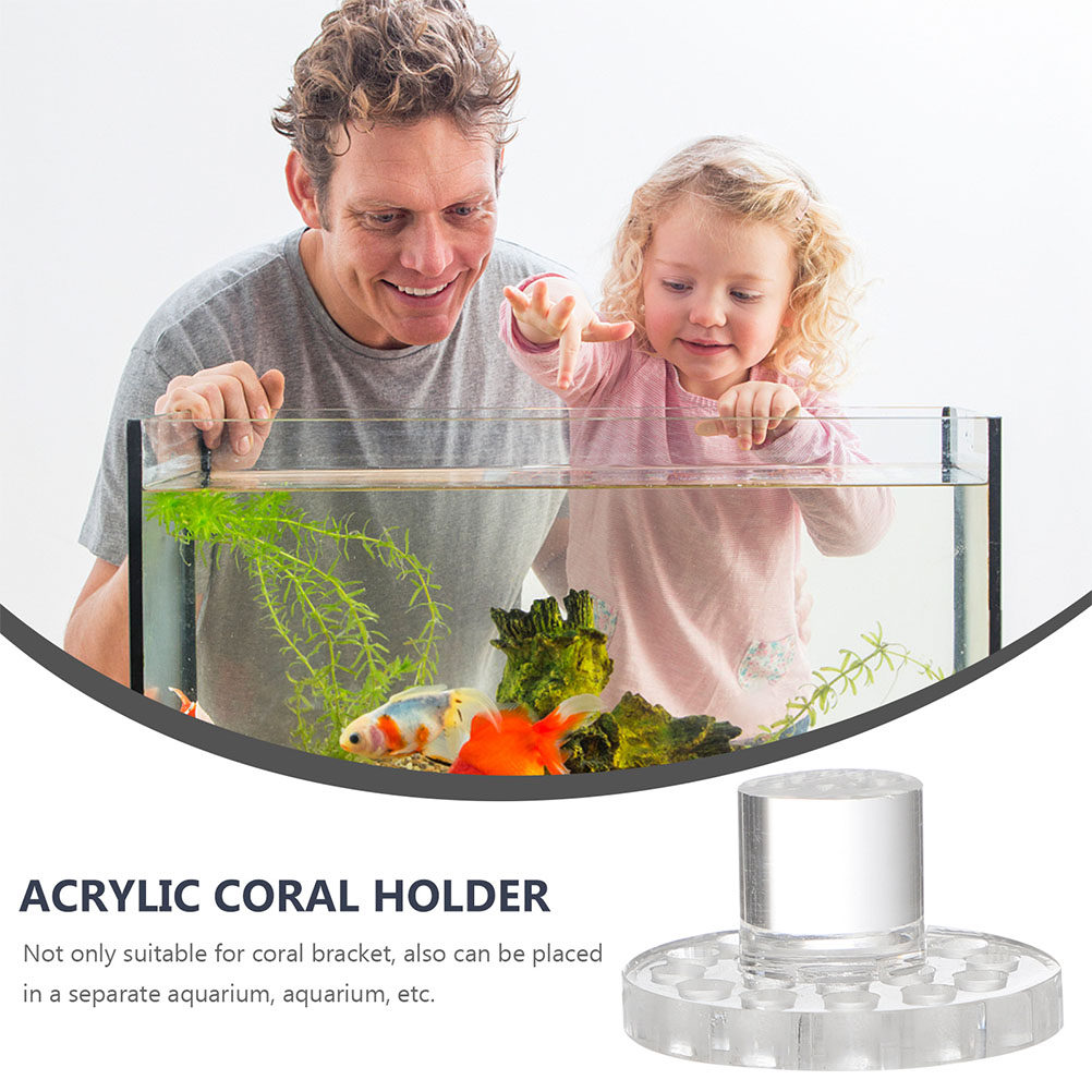 10 szt. Akrylowa Podstawa na K – Aquarium Fish And Supplies recenzja i cena