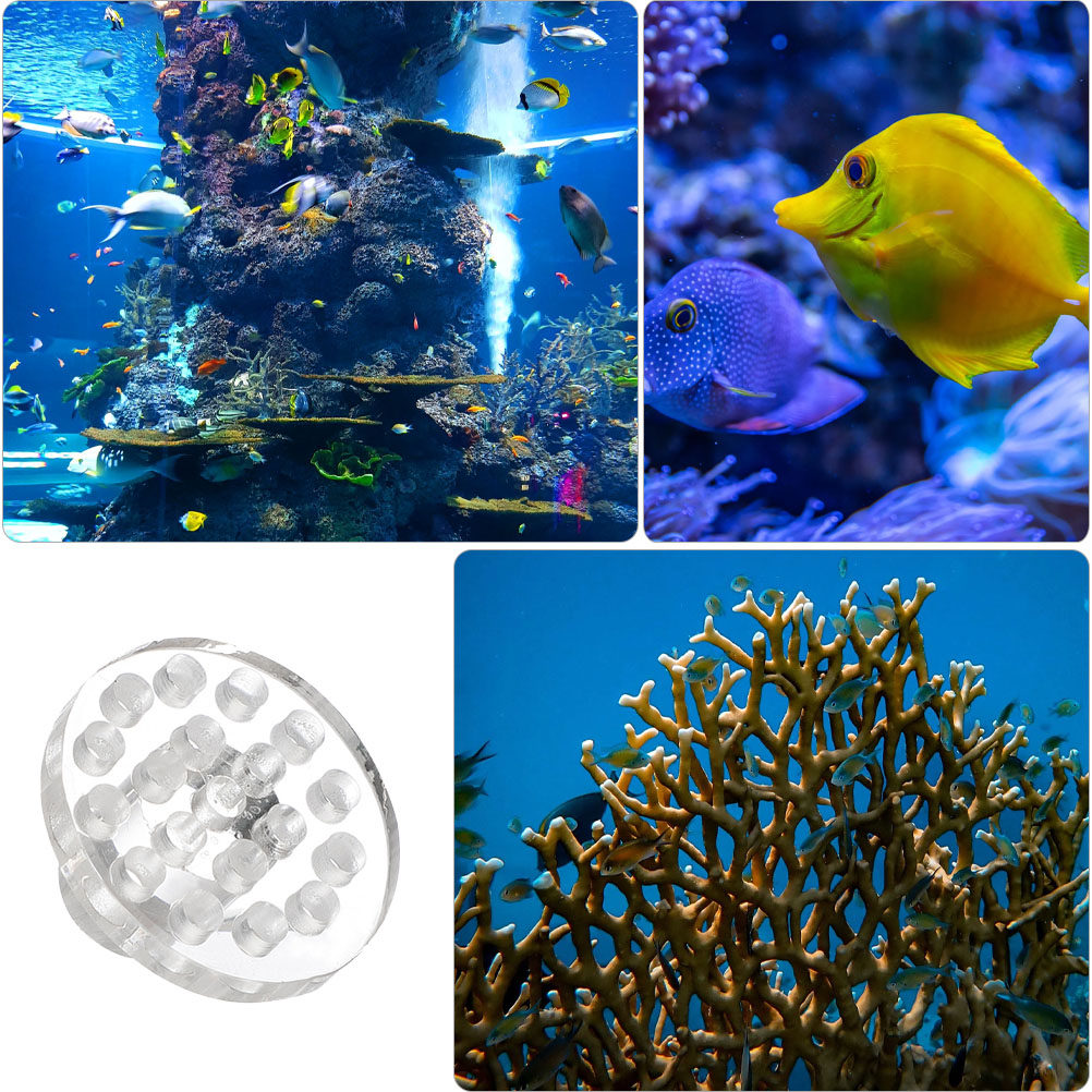 10 szt. Akrylowa Podstawa na K – Aquarium Fish And Supplies recenzja i cena