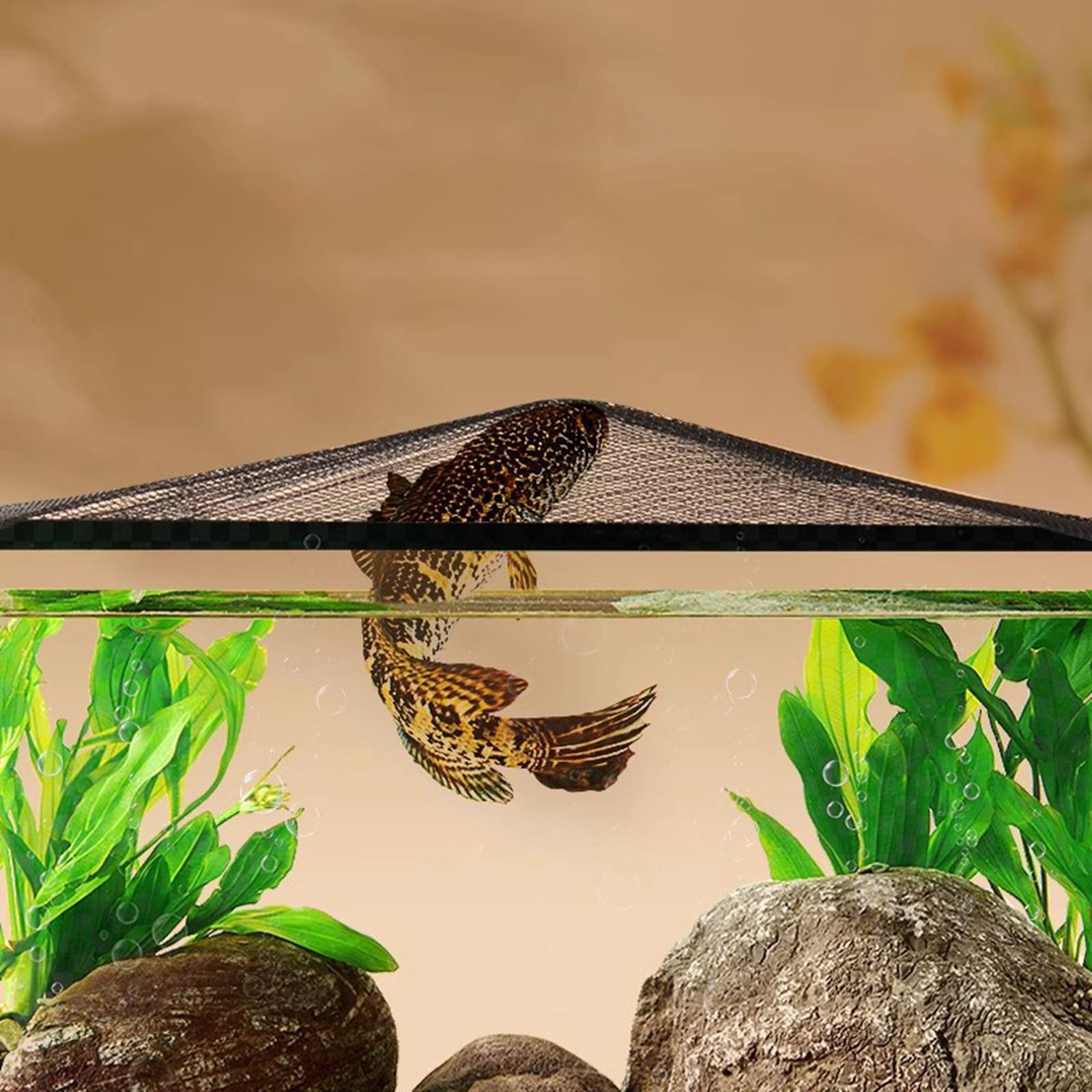 Osłona ekranu akwarium Magnety – Aquarium Fish Jump Guard recenzja i cena