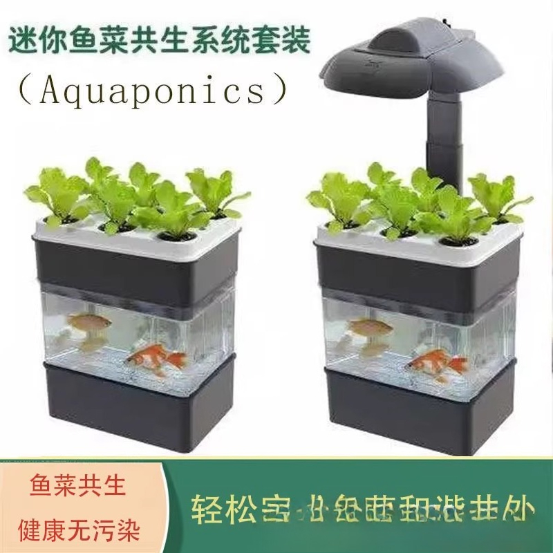 Eksporcię akwarium małego ekol – Aquarium Fish Exporter recenzja i cena