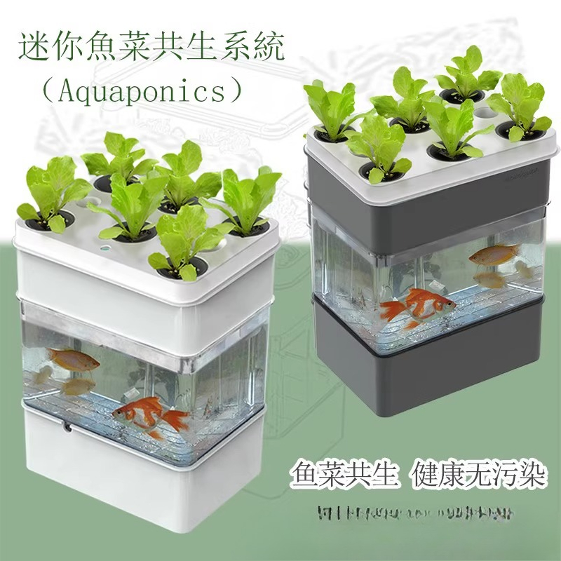 Eksporcię akwarium małego ekol – Aquarium Fish Exporter recenzja i cena