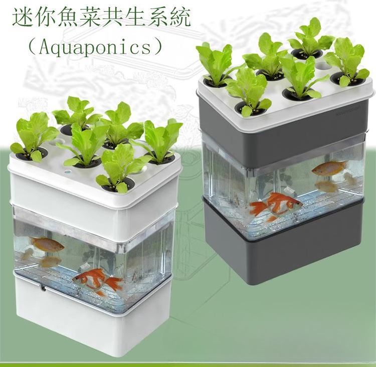 Eksporcię akwarium małego ekol – Aquarium Fish Exporter recenzja i cena