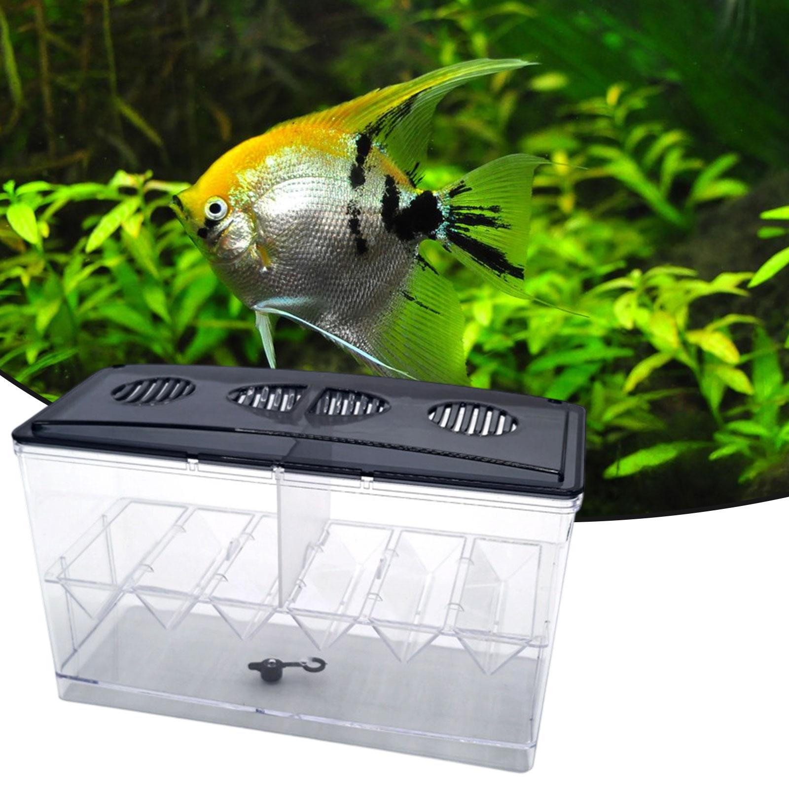 Pływające pudełko izolacyjne d – Aquarium Fish Tank Cleaner recenzja i cena