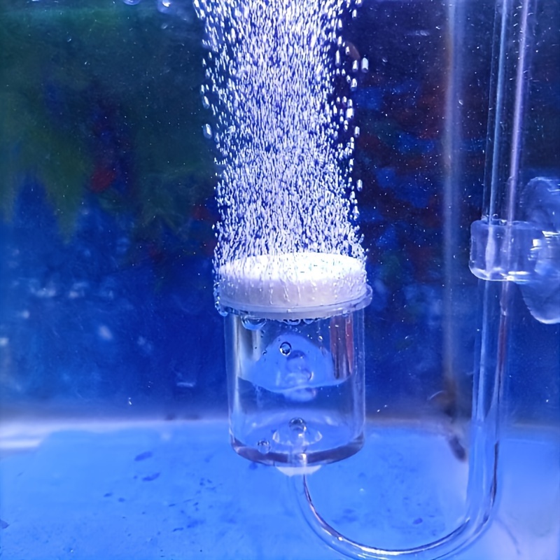 Szklany atomizer CO2 do akwari – Aquarium Fish And Supplies recenzja i cena