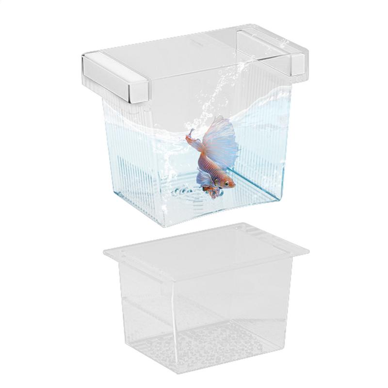 Pudełko hodowlane dla ryb do a – Tank Divider Mesh recenzja i cena