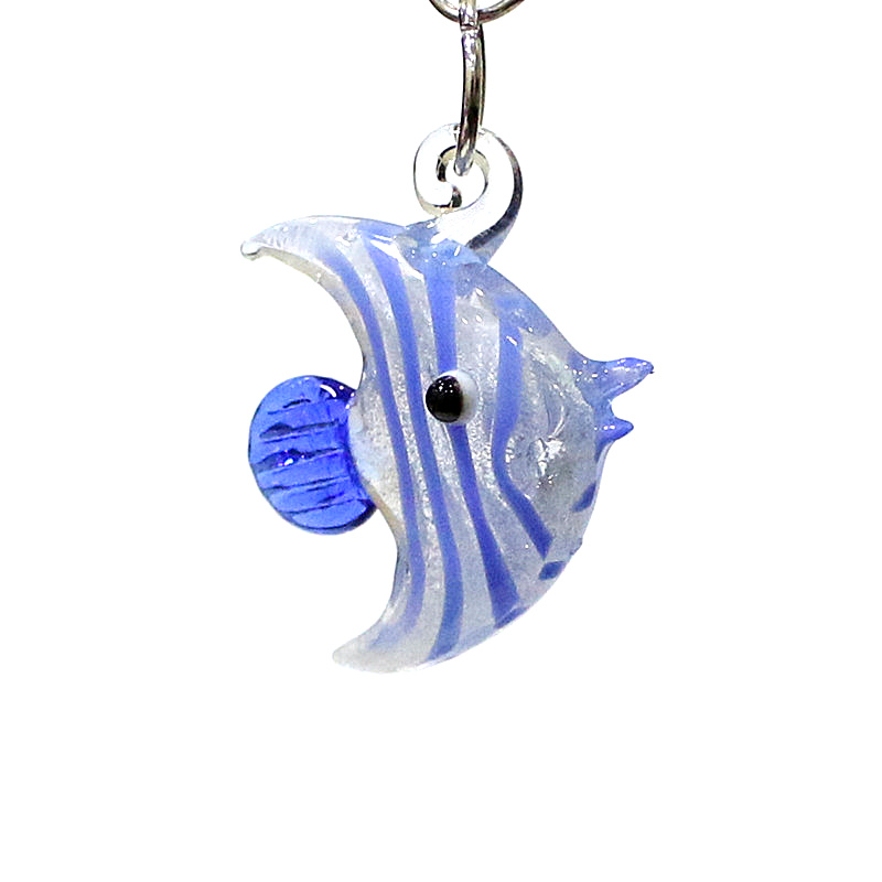 2 opakowania urocze ryby morsk – Aquarium Fish And Supplies recenzja i cena