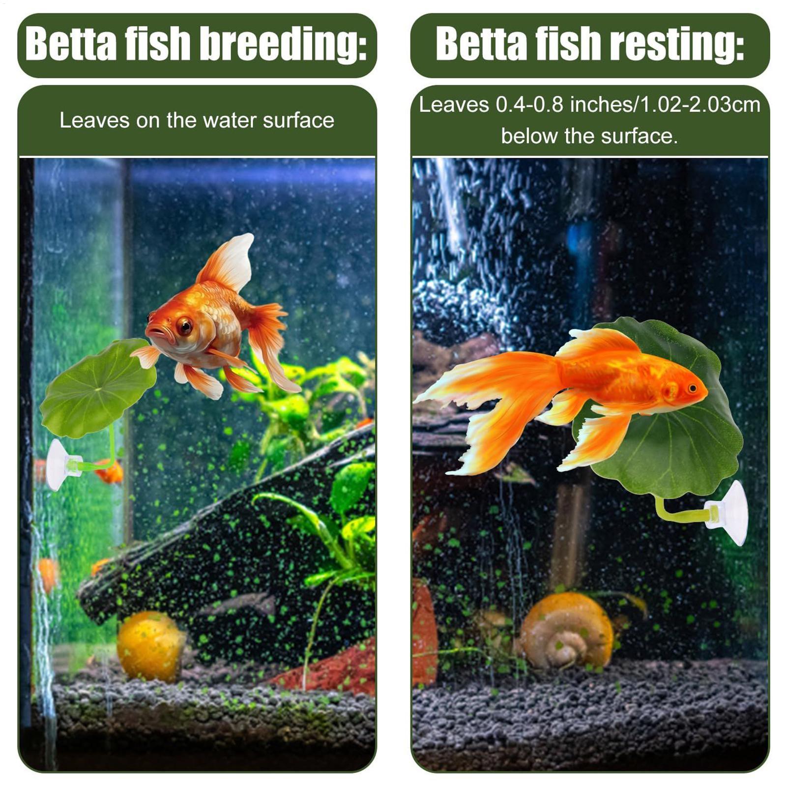 Hamak dla ryb Betta, 5 sztuk,  – Aquarium Fish Breeding recenzja i cena