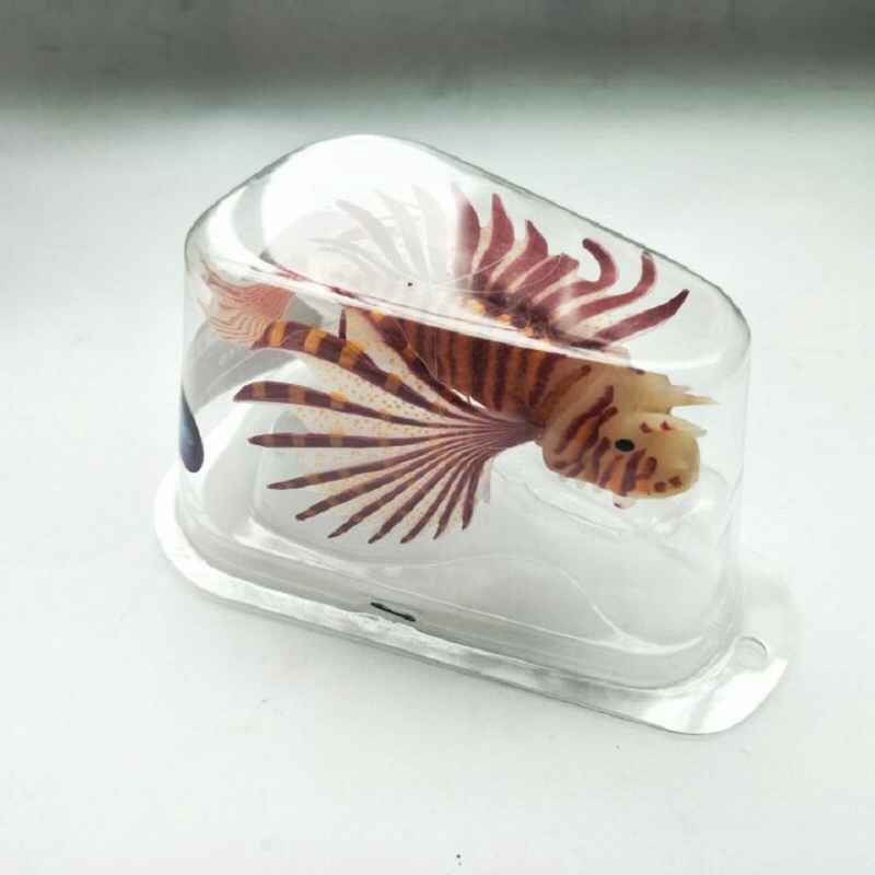 Novel and Funny Toy Fish Tank  – Aquarium Fish Exporter recenzja i cena