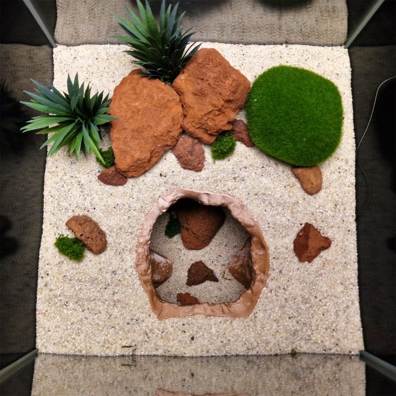 Ozdoba do akwarium w kształcie – Aquarium Fish Breeding recenzja i cena