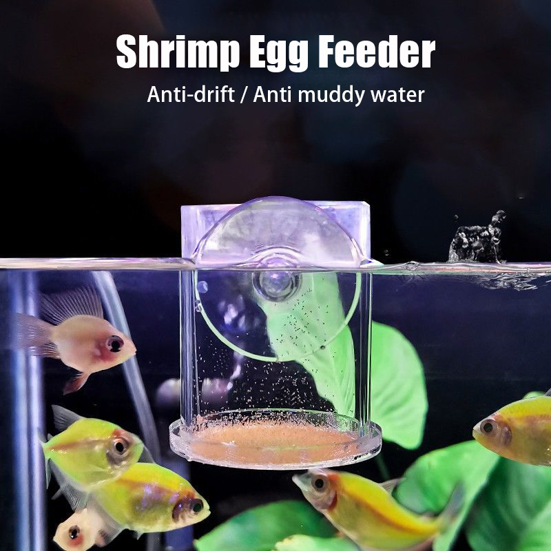 Przezroczysty akrylowy kubek d – Aquarium Fish Holiday Food recenzja i cena