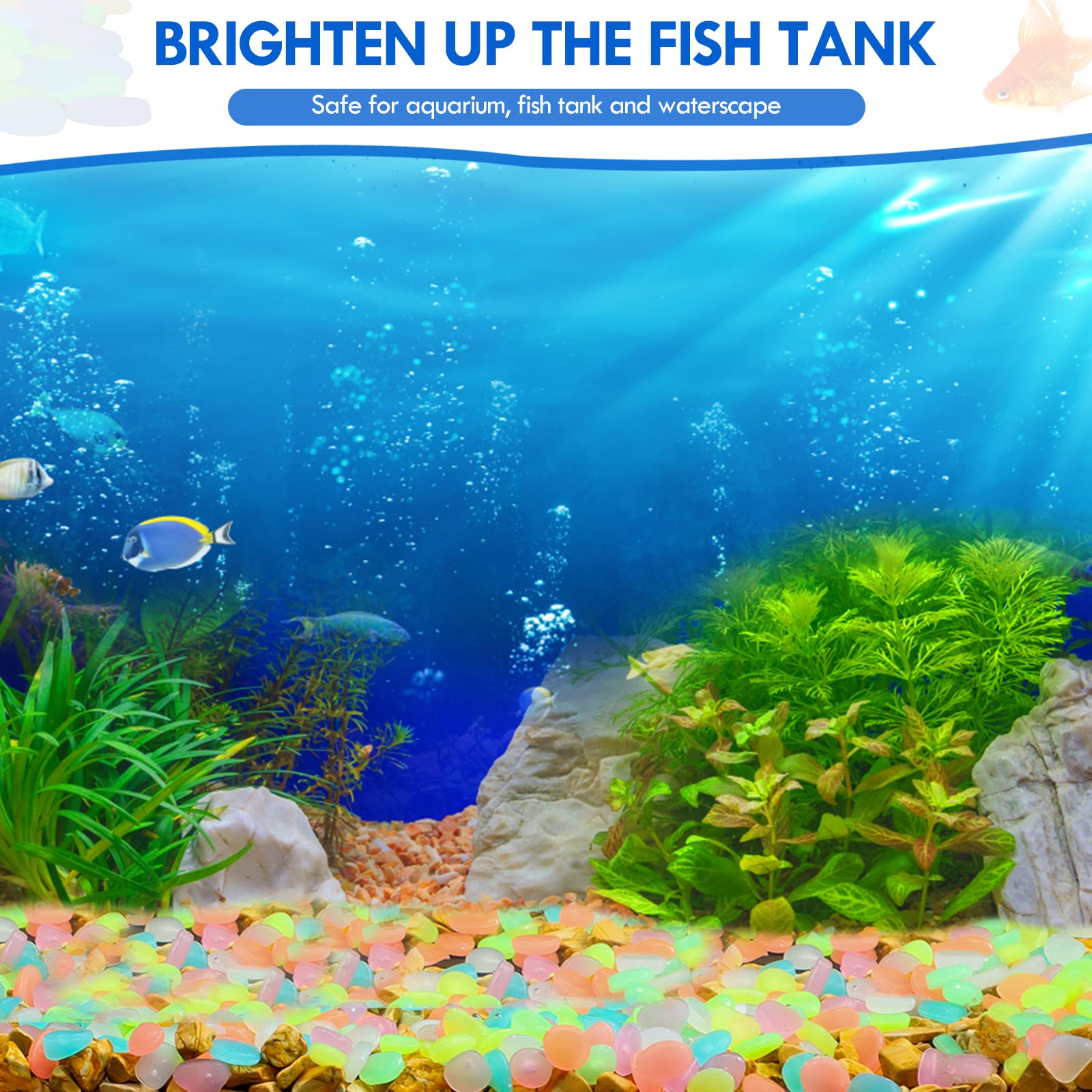 100 sztuk świecących w ciemnoś – Aquarium Fish Breeding recenzja i cena