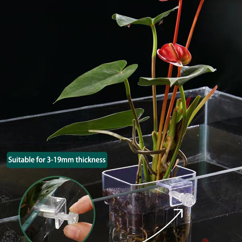 Wielofunkcyjny akwarium dla ry – Aquarium Fish Breeding recenzja i cena