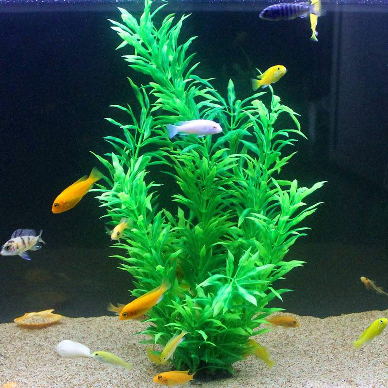 50CM sztuczne akwarium rzadkie – Aquarium Fish Breeding recenzja i cena