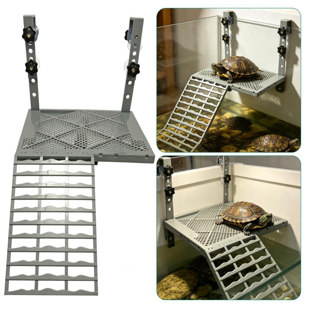 Dekoracja akwarium, solidna wi – Aquarium Fish Breeding recenzja i cena