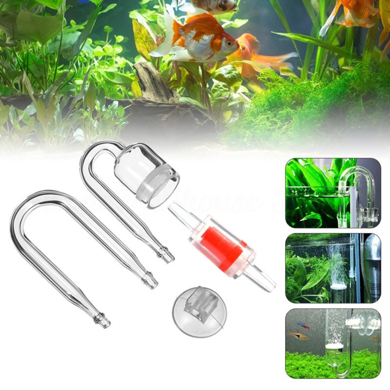4szt Zestaw DIY Dyfuzor CO2 do – Aquarium Fish Photography recenzja i cena