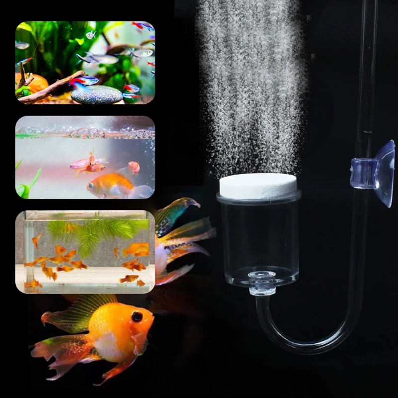 4szt Zestaw DIY Dyfuzor CO2 do – Aquarium Fish Photography recenzja i cena