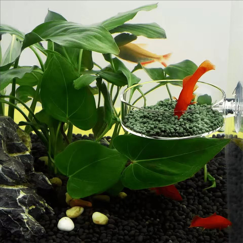 Przezroczysty akrylowy podajni – Aquarium Fish Holiday Food recenzja i cena